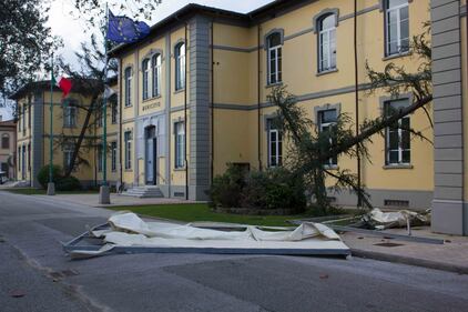 Il maltempo distrugge la pineta di Forte dei Marmi 3