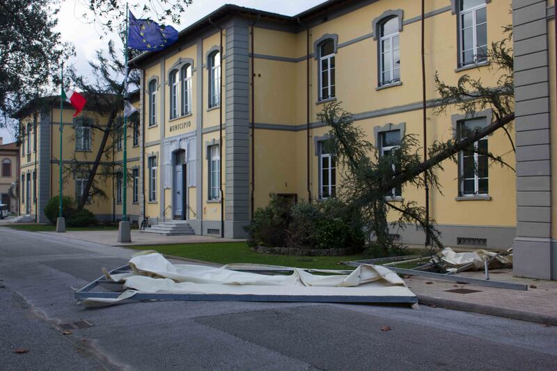 Il maltempo distrugge la pineta di Forte dei Marmi 3