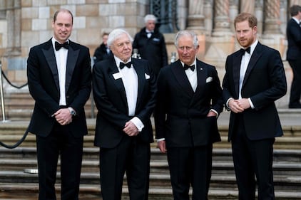 I reali inglesi alla prima di "Our Planet" 4
