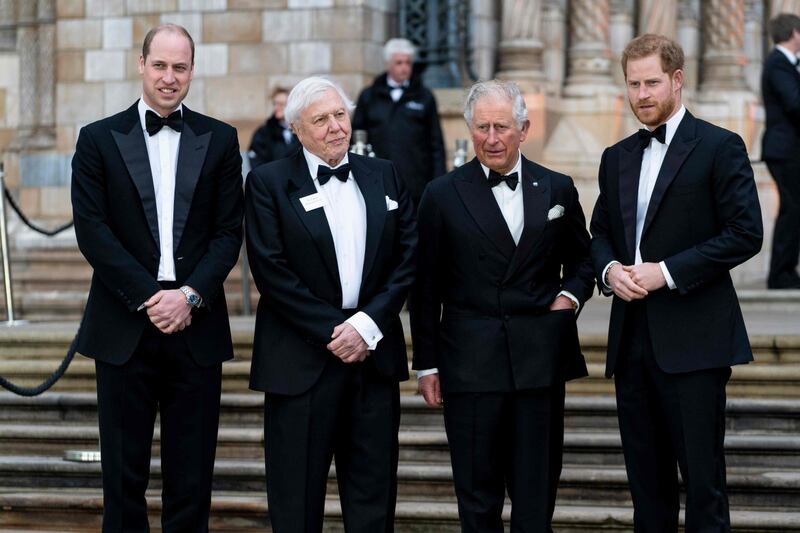 I reali inglesi alla prima di "Our Planet" 4