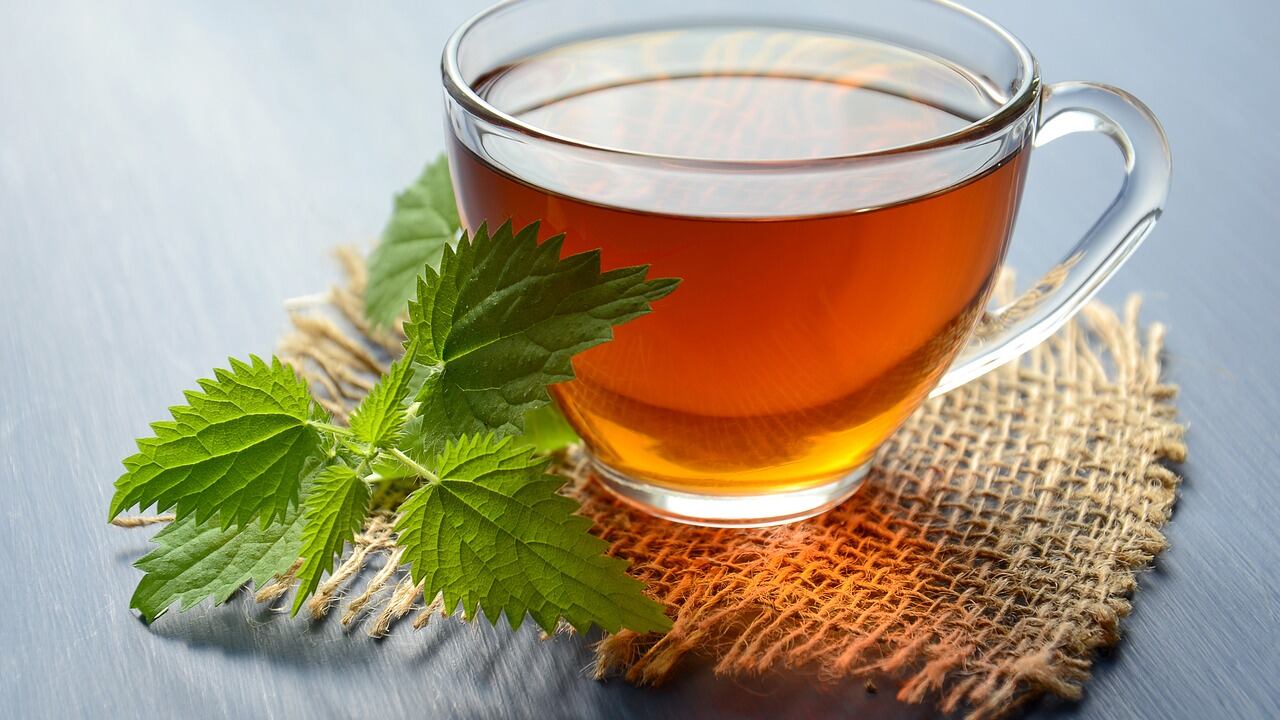 Tisana all'alloro, perché fa bene a corpo e mente: ecco tutti i benefici