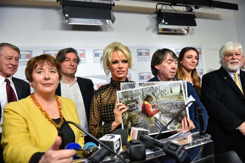 Pamela Anderson contro il foie gras 11