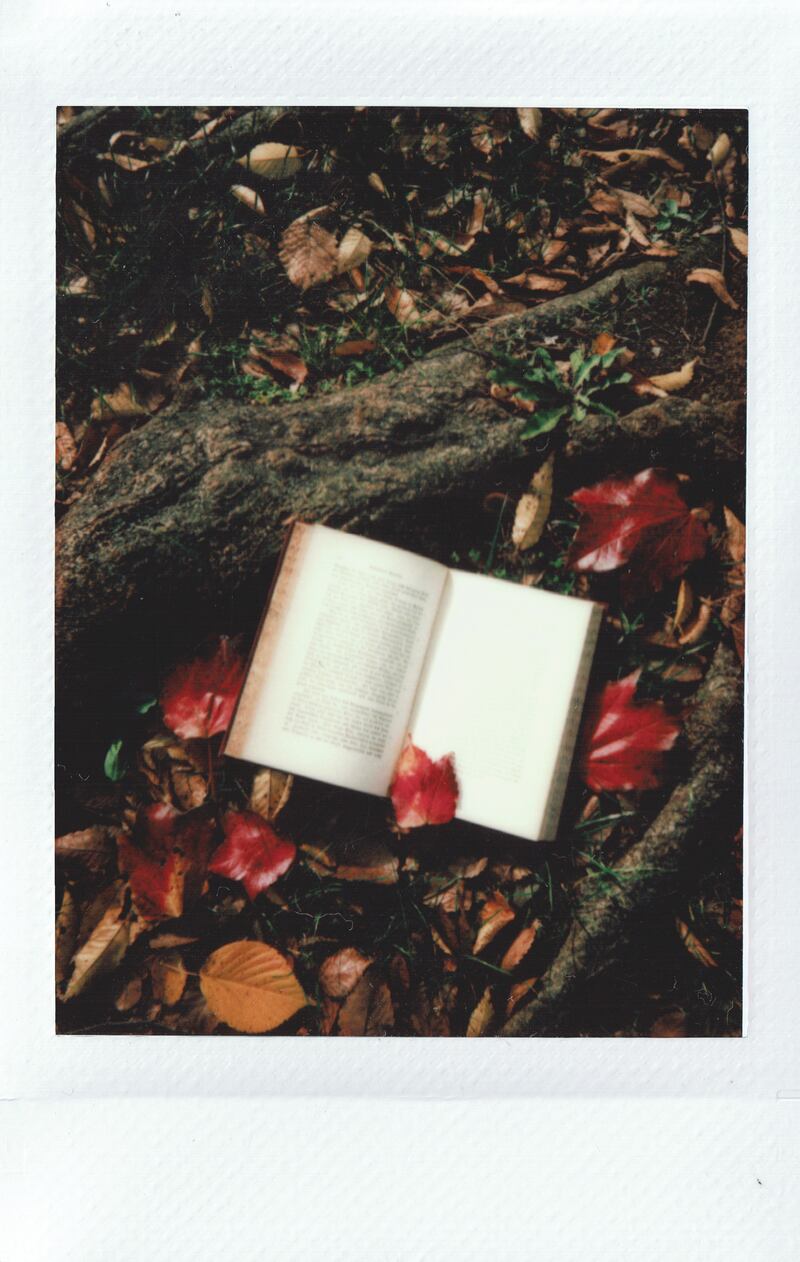 Libri