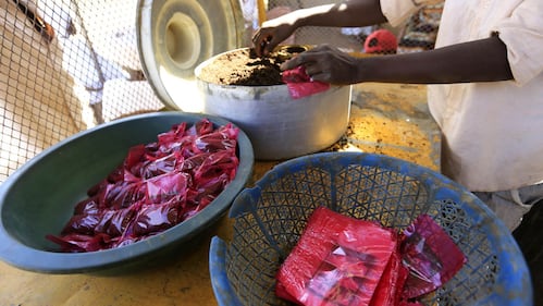 L'industria del tabacco, in Sudan 4