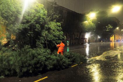 Maltempo a Bologna: alberi caduti, allagamenti ed esondazioni 4