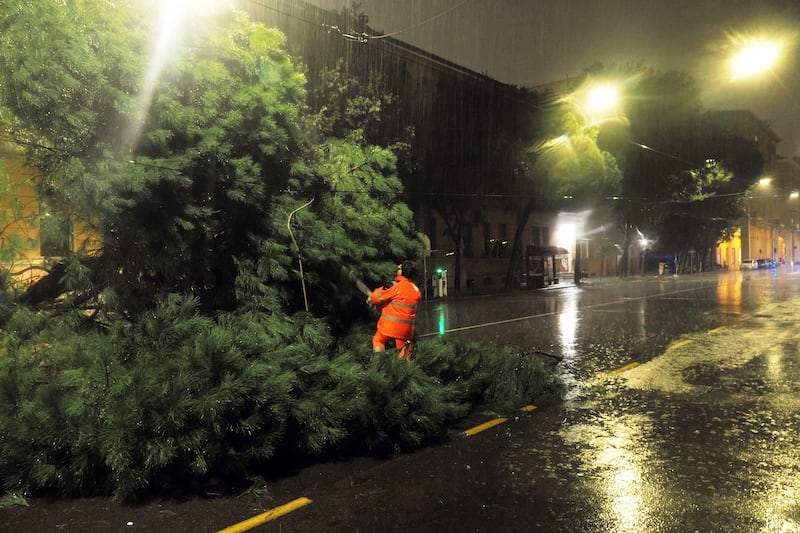 Maltempo a Bologna: alberi caduti, allagamenti ed esondazioni 4