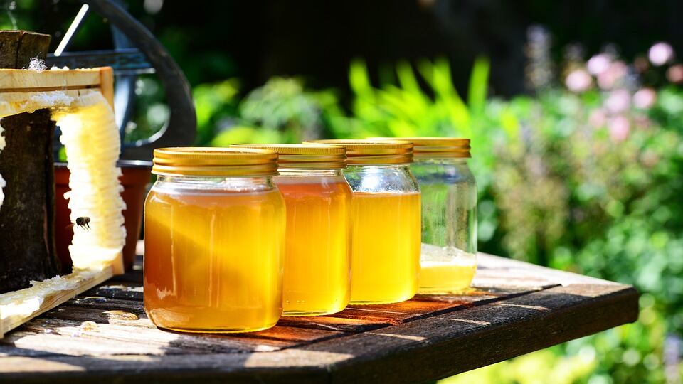 Miele: naturale antinfiammatorio per l’inverno