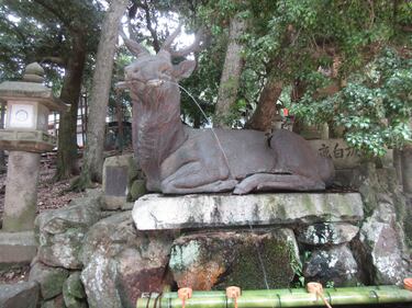 Kasuga Taisha a Nara, dove mille lanterne fanno luce agli dèi 5