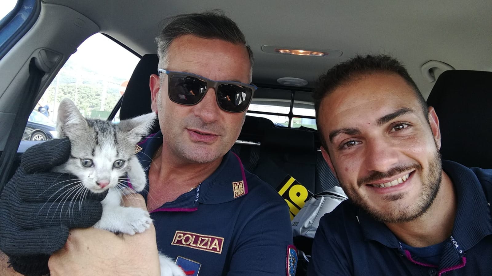 Polstrada salva gattino intrappolato nel motore: chi vuole adottarlo?