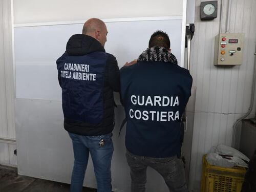 Calce edilizia al posto di quella alimentare: l'orrore scovato nell'azienda ittica