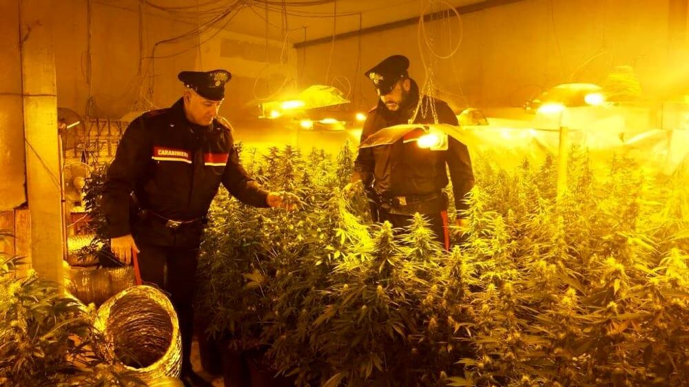 Chi vuole incantarci sulla marijuana