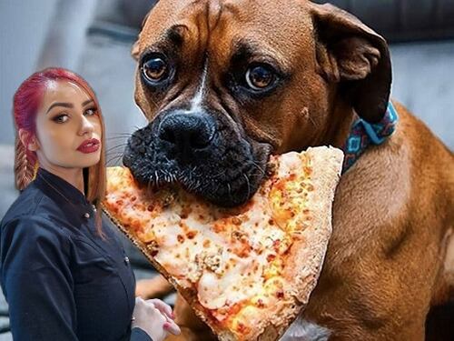 Ordina una pizza e adotta un cucciolo