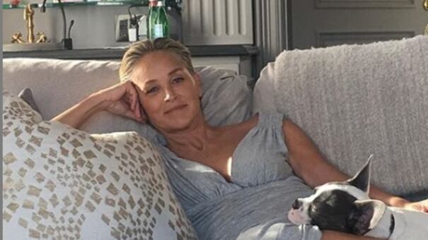 Sharon Stone: "Sono stufa di parlare di Basic Instinct"