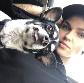 Ruby Rose, le immagini hot 5