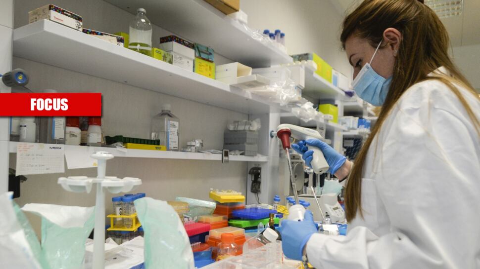 "Ecco la variante sudafricana, così il virus prova a fregarci"