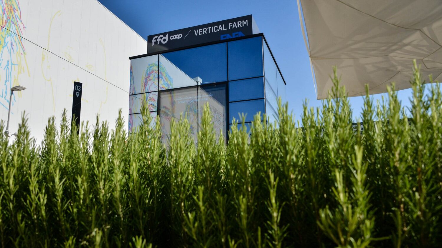 La Fattoria verticale di Enea: ecco l'agricoltura del futuro