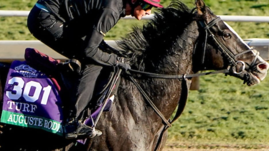 Breeders' Cup 2023, negli Usa scacco matto