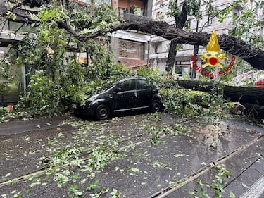 Maltempo a Milano, esonda il Seveso e alberi caduti