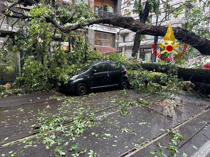 Maltempo a Milano, esonda il Seveso e alberi caduti