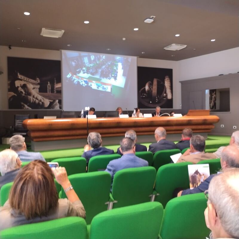 il convegno