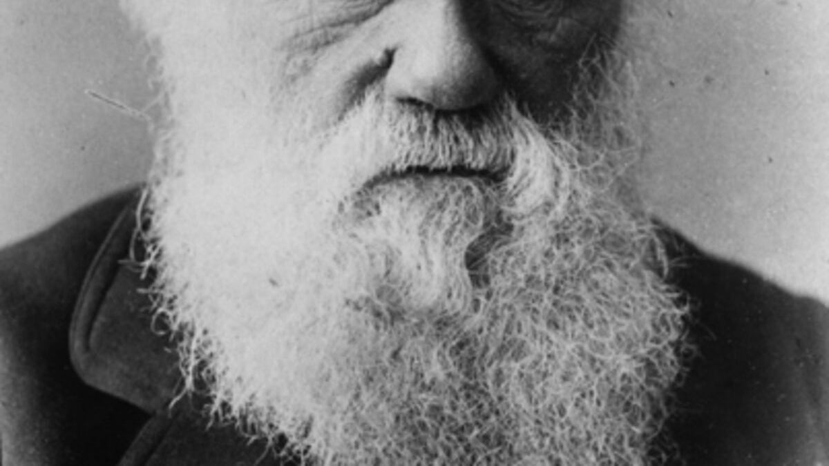 Dopo la Turchia anche l'Iraq cancella Darwin dalle scuole
