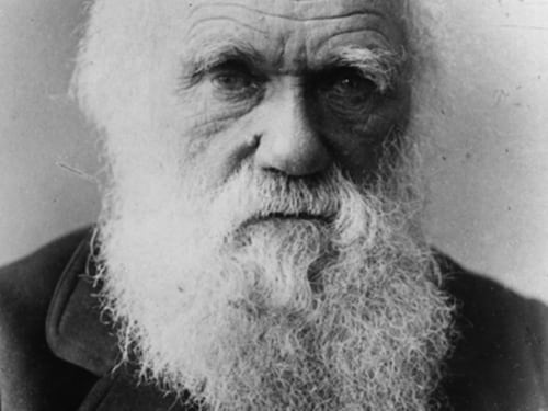 La femmina? Inferiore all'uomo: il lato sessista di Charles Darwin