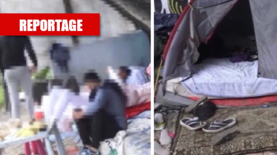 Camping rom nell'oasi protetta, decine di accampati in barba a Covid e decoro