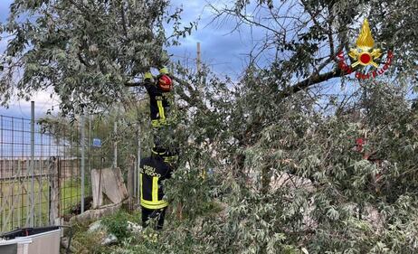 Maltempo e disagi in Romagna 4