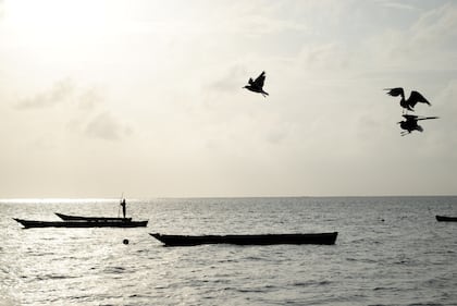 Kenya, il paradiso per i lettori del Giornale 3