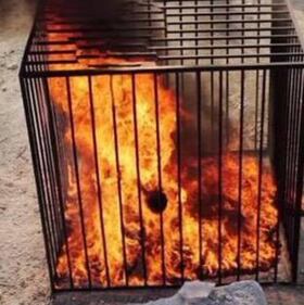 Isis, pilota giordano arso vivo 2