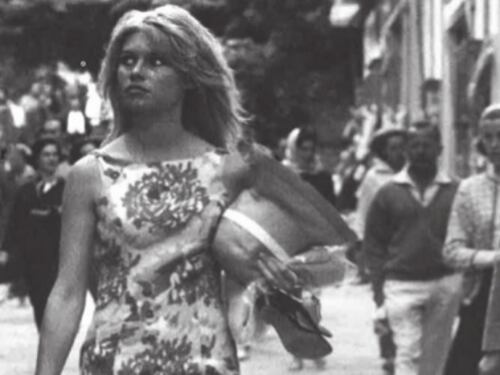 Brigitte Bardot in Russia se a Lione saranno soppressi due elefanti