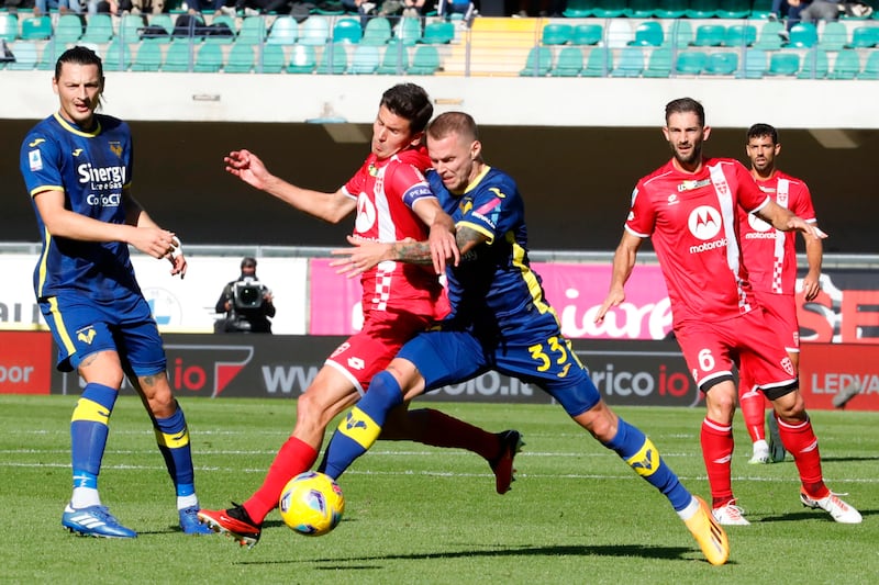 hellas verona monza