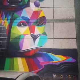 Str. Art Delhi: quando i graffiti li vuole il comune  2