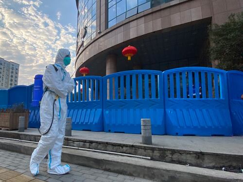 Pipistrelli vivi in un laboratorio di Wuhan: il video che imbarazza l'Oms