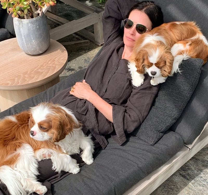 Courteney Cox, le foto su Instagram 4