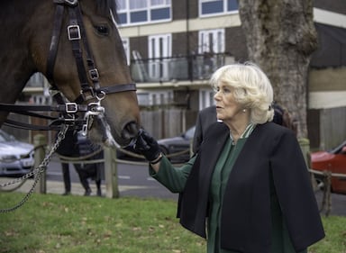 Camilla Parker Bowles, le foto della duchessa di Cornovaglia 1