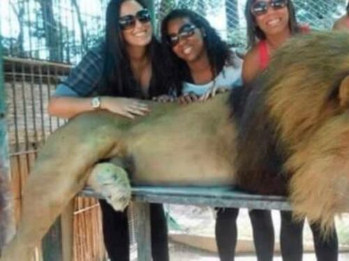 Buenos Aires, uno zoo droga gli animali per far fare le foto ai turisti
