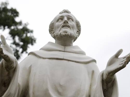 Celebriamo san Francesco. Ma salvando gli alberi