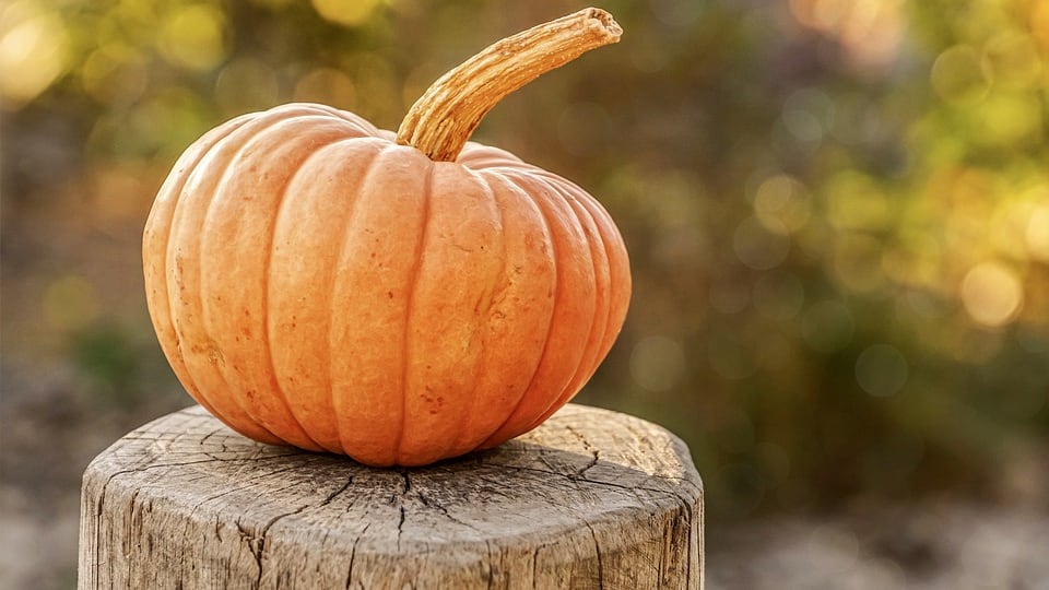 Zucca e benefici: ecco perché non si può rinunciare a questo frutto