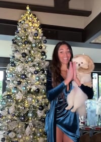 Vip e alberi di Natale, vince la tradizione 10