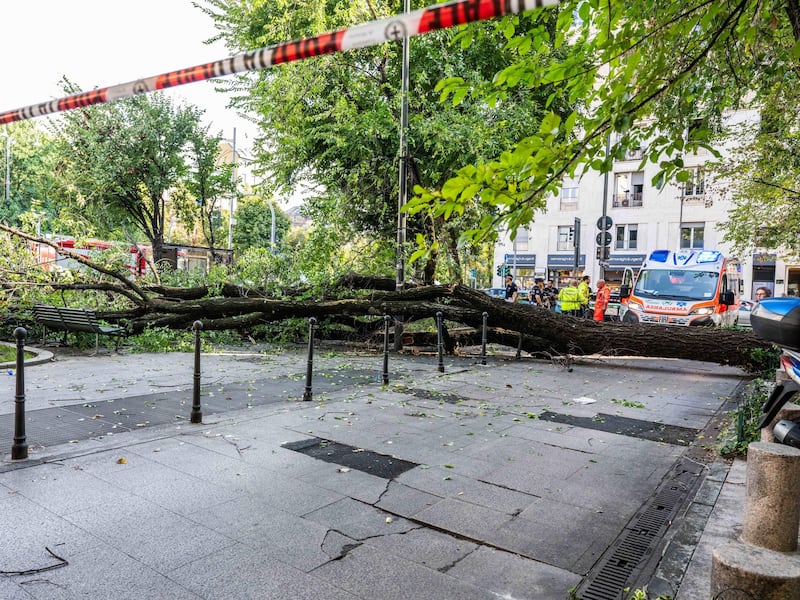 Milano, cade un albero in piazza Risorgimento: tre contusi