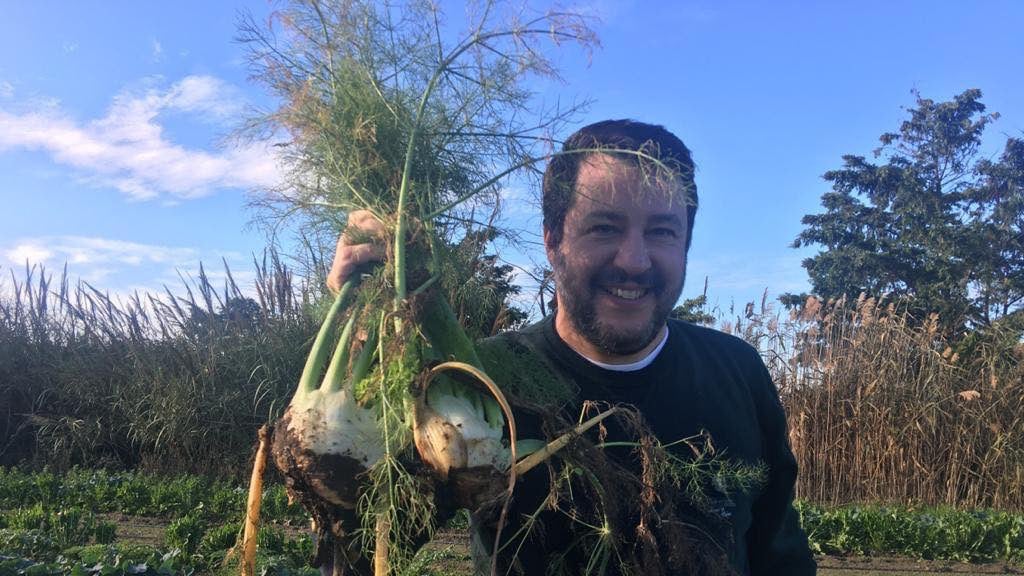 I grillini saltano e Salvini gongola, il peggio della settimana
