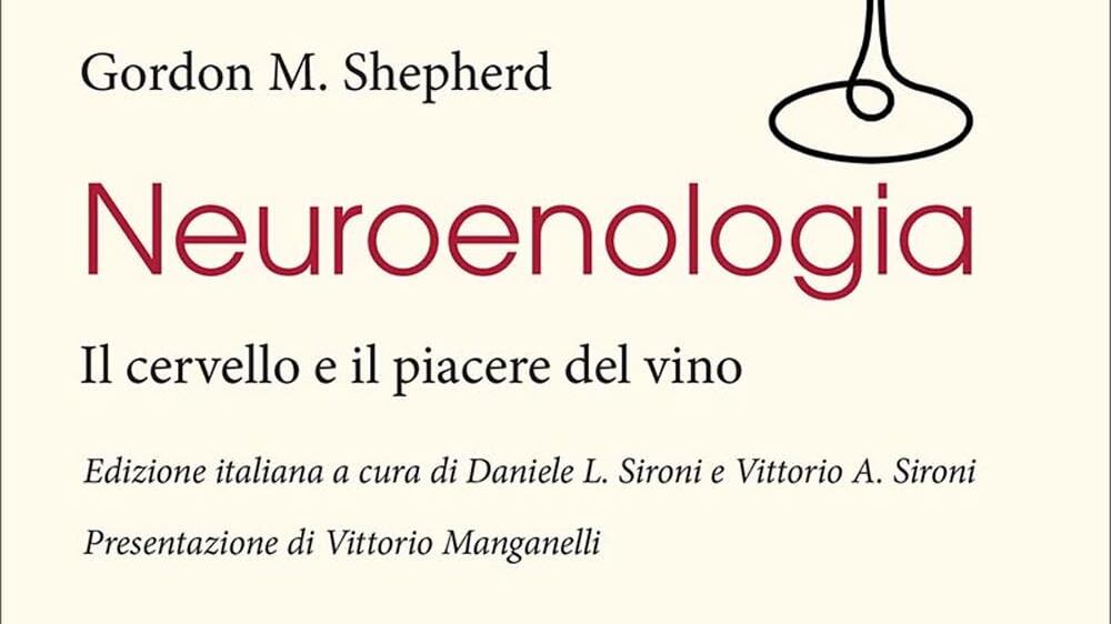 Il piacere del vino? È tutto nel cervello