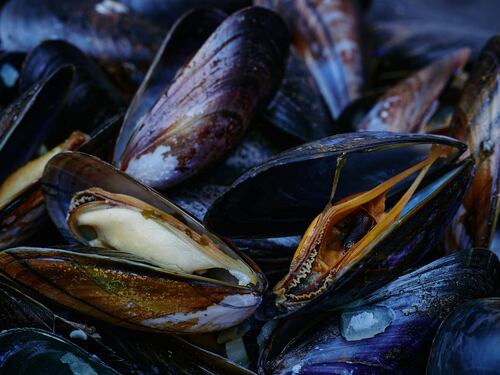 Epatite A: 84 casi a Napoli "Vietati i frutti di mare"