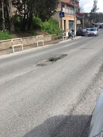 Fiori nelle buche, la protesta nei municipi romani 9