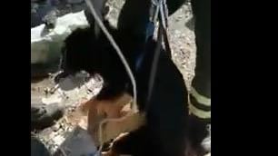 Orrore in Puglia, cane legato e gettato in cisterna sigillata