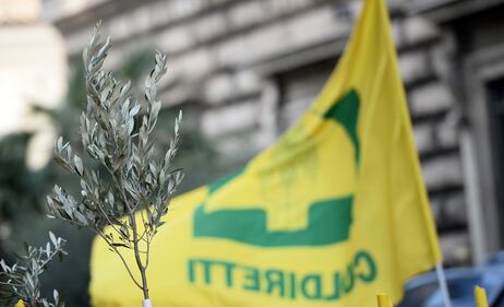 La protesta della Coldiretti davanti al ministero dell'Agricoltura 7