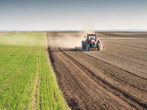 "Con il cibo in provetta puntano a sovvertire gli equilibri naturali"