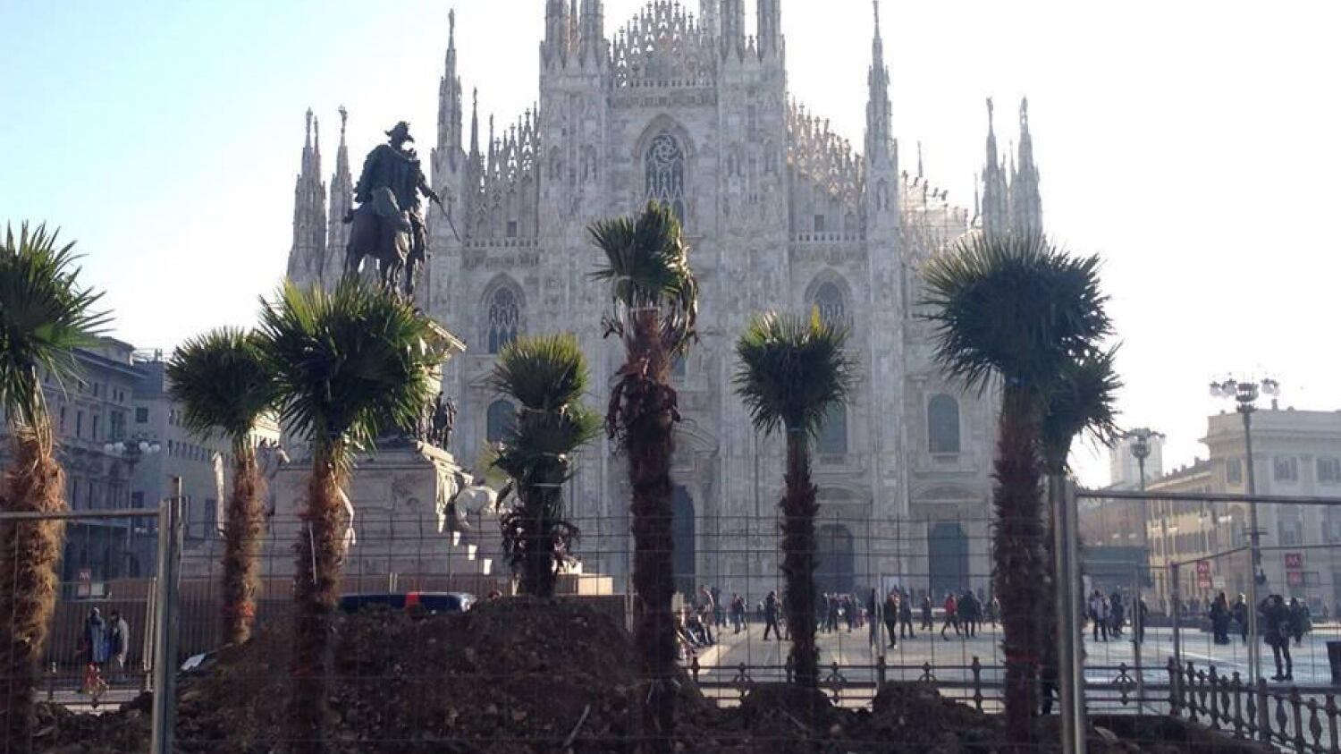 Spuntano le palme in Duomo E Milano si sveglia africana