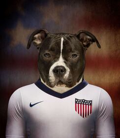 Brasile 2014, delle squadre... da cani 17